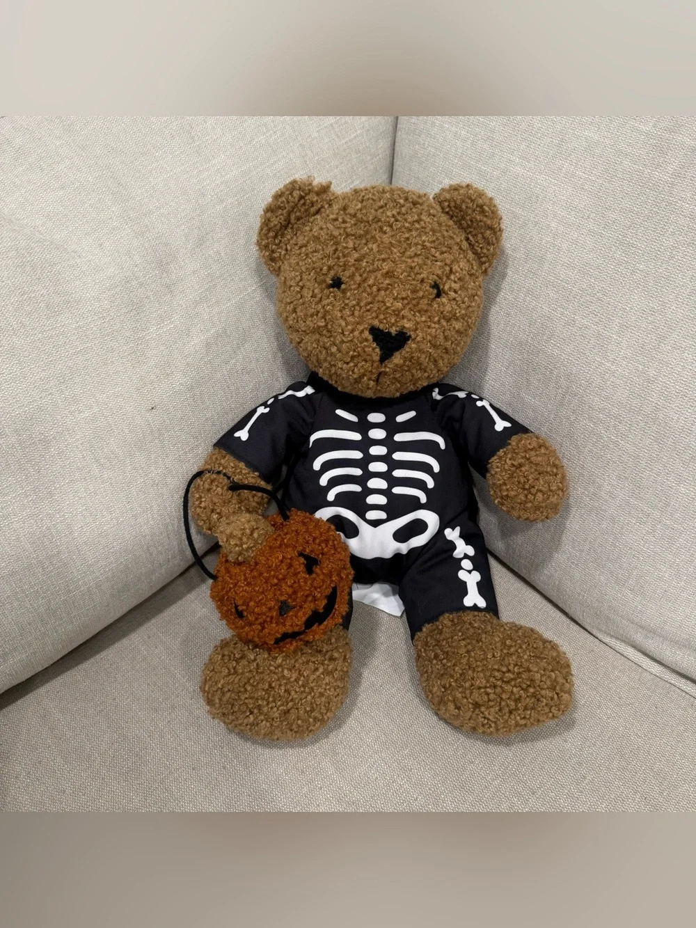 Pottery Barn Theo Teddy Trick-Or-Treat Pillow NEW